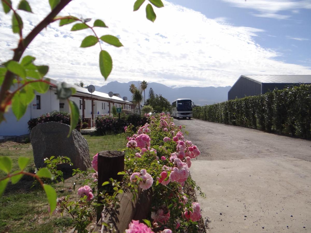 Middelplaas Paarl Guesthouse Exteriör bild