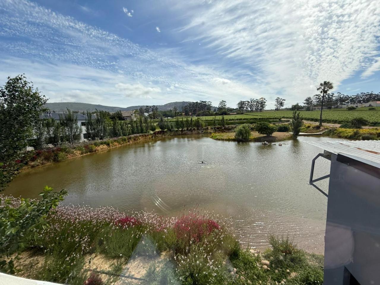 Middelplaas Paarl Guesthouse Exteriör bild